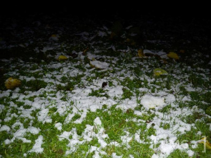 У високогір’ї Мукачівського району випав перший сніг – 01 У високогір’ї Мукачівського району випав перший сніг – 01