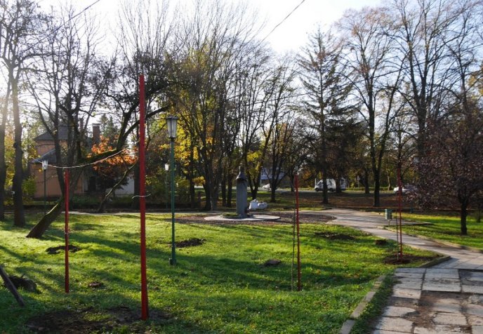 Цього місяця в Ужгороді висадять 250 дерев – 05