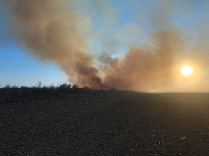 На Мукачівщині масштабна пожежа – 01