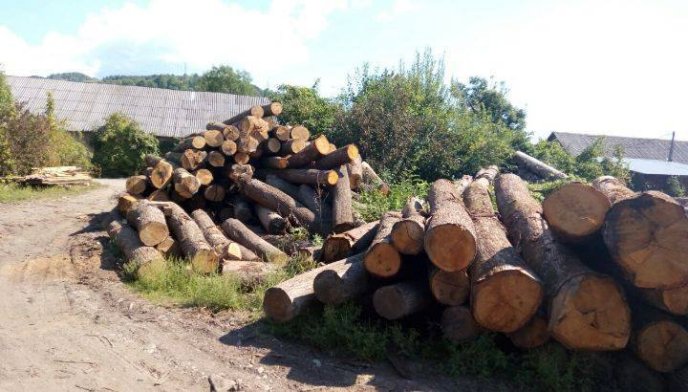 У ході обшуку на Хустщині виявлено понад 70 куб.м деревини цінних порід      – 01