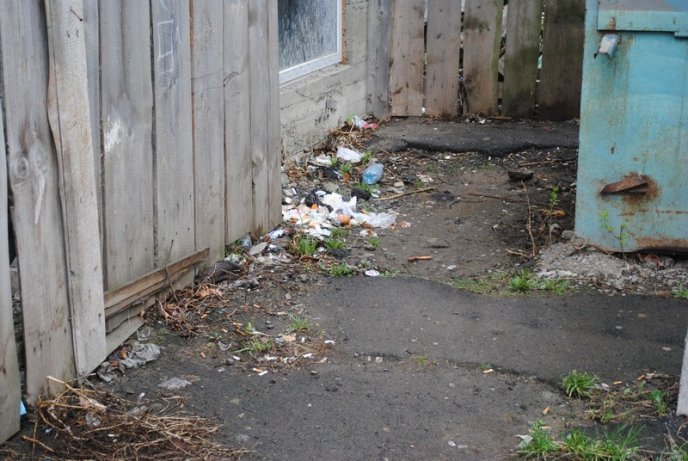 Толока в Мукачеві крізь об’єктив нашого кореспондента (ФОТОРЕПОРТАЖ) – 04