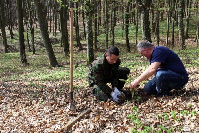У Шевченківській алеї, що на Ужгородщині, відомі закарпатці висадили нові дерева – 08
