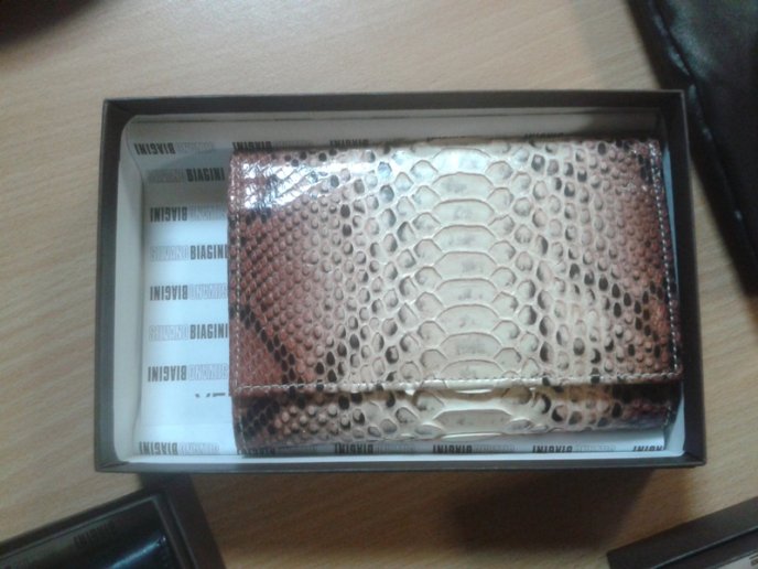 В автобусі "Мілан-Чернівці" чопські митники знайшли контрабандні речі зі шкіри леопарда та пітона (ФОТО) – 04