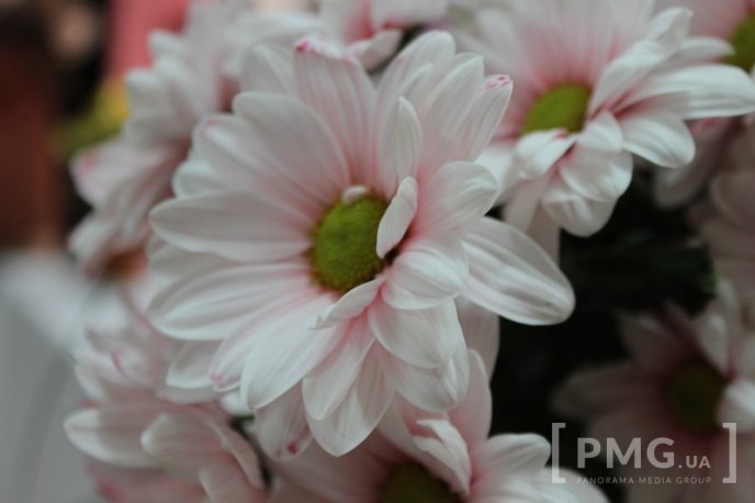 У Мукачівському пологовому будинку вперше вручили свідоцтво про народження – 01