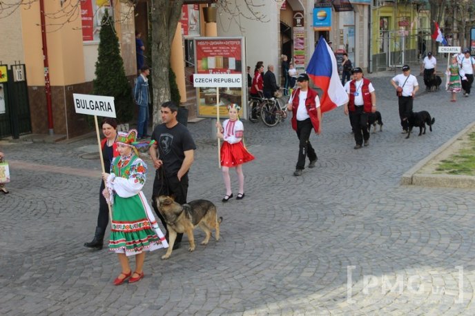 У Мукачеві урочисто відкрили чемпіонат світу зі слідової роботи службових собак – 31