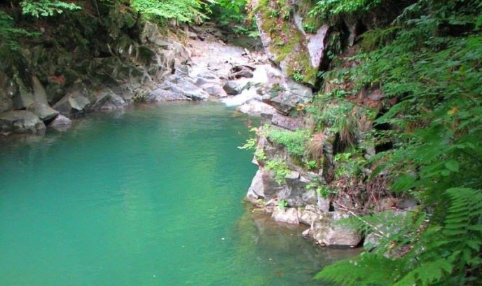 На Великоберезнянщині виявили унікальне диво природи – 03