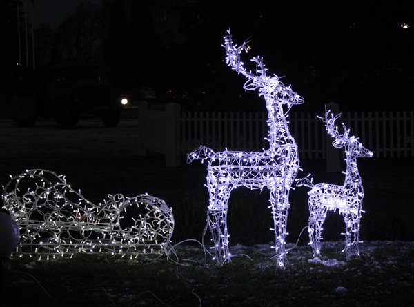 До свята Миколая запалала головна ялинка області (ФОТО) – 10