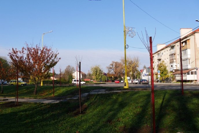 Цього місяця в Ужгороді висадять 250 дерев – 03