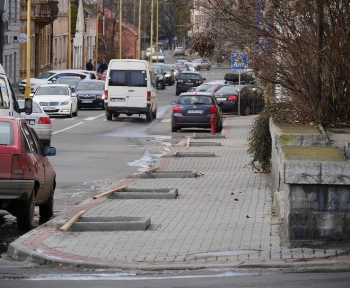 На одній з вулиць Ужгорода посадили дерева – 02
