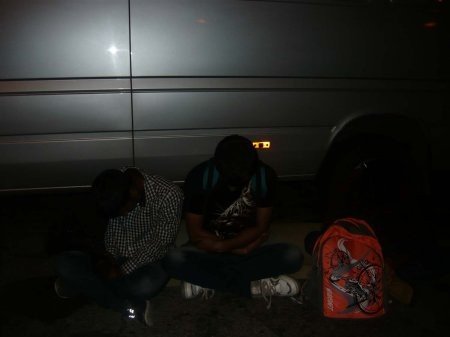 На Закарпатті затримали двох мешканців Івано-Франківщини, які перевозили нелегалів у дерев’яних дошках – 02