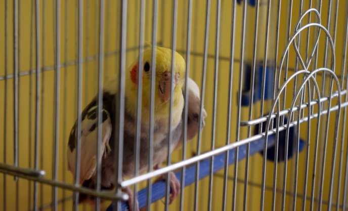 В Ужгороді відкрили дитячий будинок сімейного типу – 05