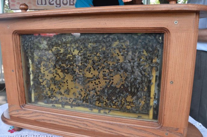 В Ужгороді стартував фестиваль "Медовий спас" – 13