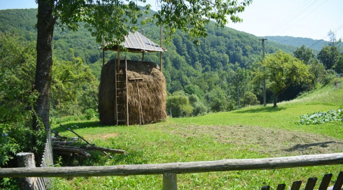 На Закарпатті є село, у якому влітку проживає 25 людей, а взимку – 12 – 03
