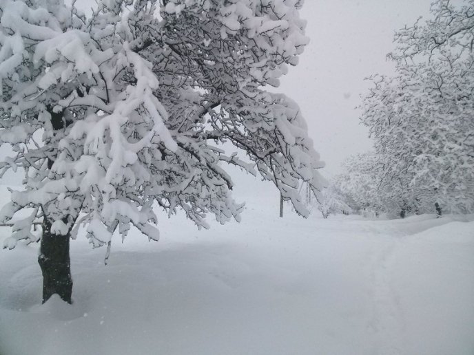 Казкова зима у селі Брестів на Мукачівщині: неймовірні фото – 05