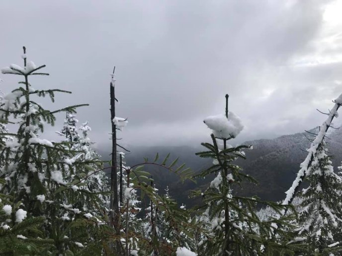 Синевир замело снігом, — соцмережі – 01