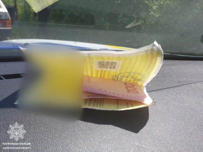 Патрульні розповіли про випадок поблизу села Нижнє Солотвино – 03