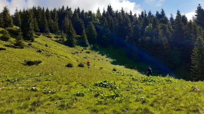 На Закарпатті продовжують шукати 29-річного чоловіка, який загадково зник – 02