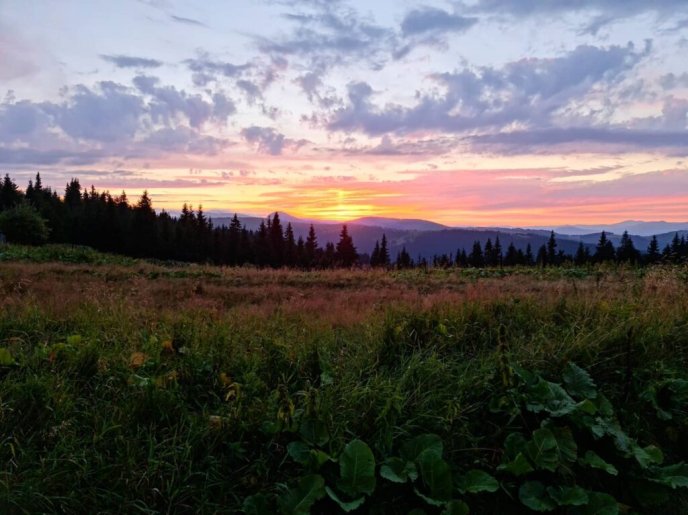 У цього місця особливі душа, характер та аромат: відомий телеведучий побував у Карпатах – 05