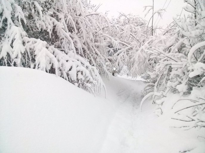 Казкова зима у селі Брестів на Мукачівщині: неймовірні фото – 11