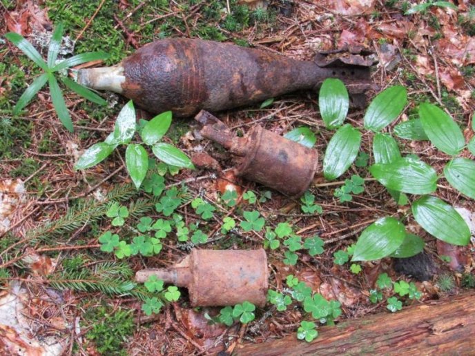 На Закарпатті турист виявив небезпечну знахідку – 05