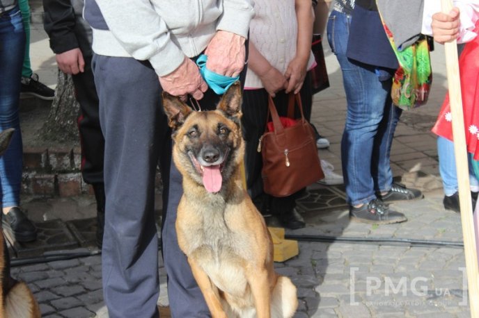 У Мукачеві урочисто відкрили чемпіонат світу зі слідової роботи службових собак – 61