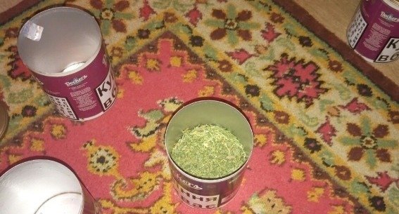 Під час обшуку в помешканні мукачівця поліцейські знайшли 100 грам марихуани – 02