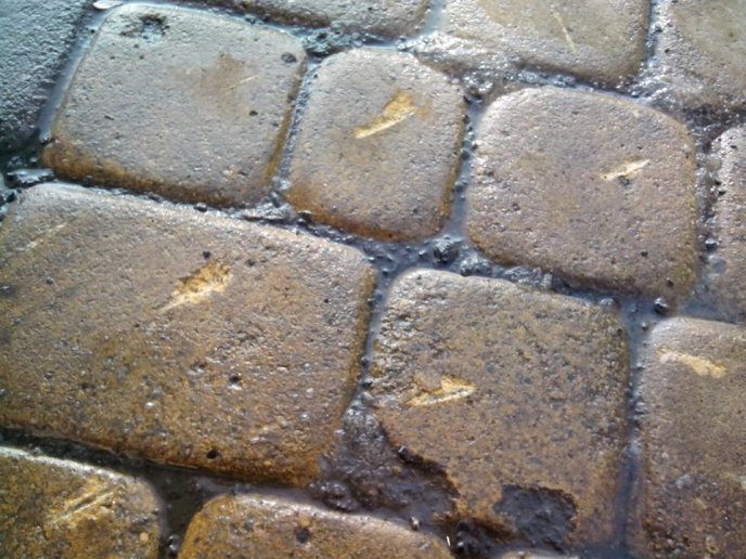 Ужгородці, очищуючи тротуари від льоду, "перестарались" і пошкодили бруківку – 03