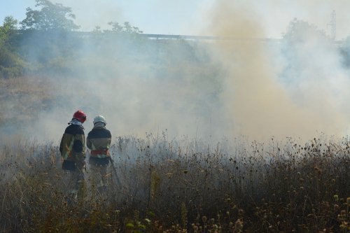 Закарпаття страждає від пожеж – 01