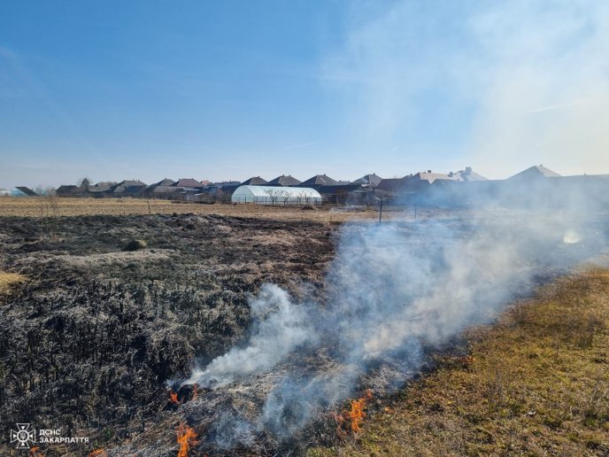 За добу на Закарпатті згоріло понад 78 гектарів землі – 03