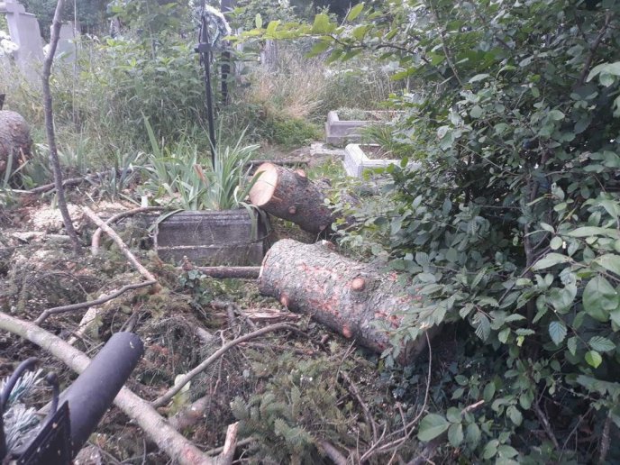 У Мукачеві взялися впорядковувати територію кладовища – 07