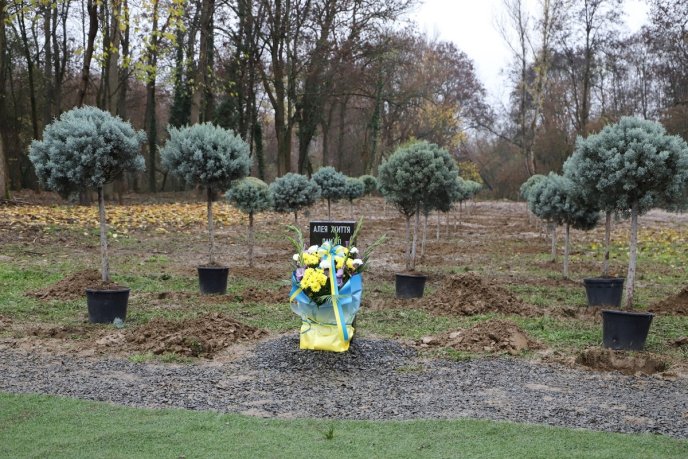 Алею життя висадили в Ужгороді – 01