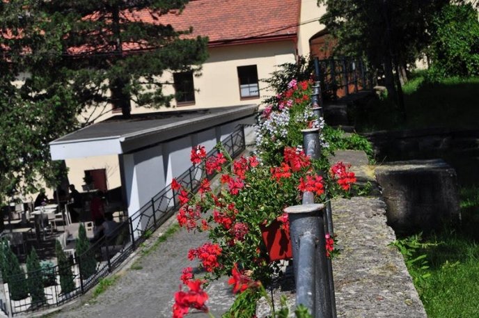 Ужгород буяє квітковим різнобарв’ям – 29