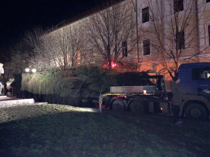 Новорічну ялинку встановили у центрі Мукачева – 02