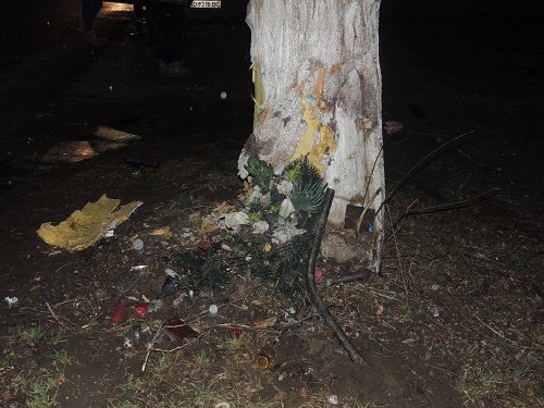 У Берегові п’яний водій на великій швидкості врізався у дерево. Жінка та двоє дітей у реанімації (ФОТО) – 05