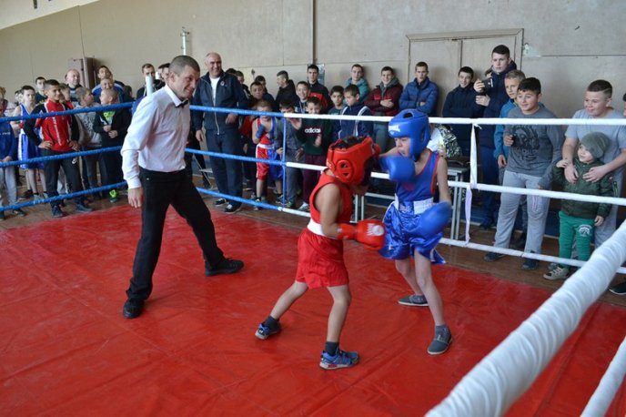 В області провели ІХ-ий  щорічний турнір із боксу пам’яті Володимира Тунаєва  – 12