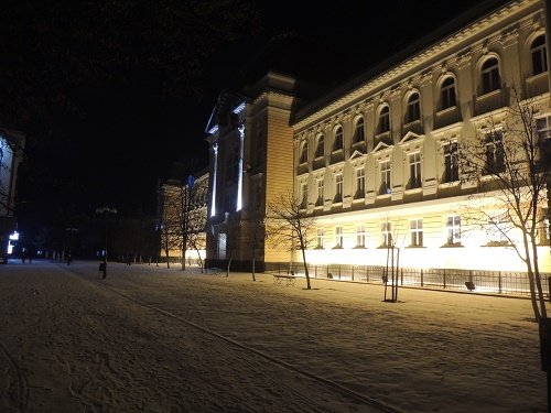 Берегівчани радіють першому у Новому році снігу (ФОТО) – 09