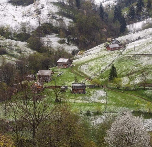 Посеред травня на Закарпатті випав сніг – 01