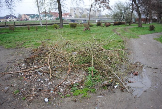 Толока в Мукачеві крізь об’єктив нашого кореспондента (ФОТОРЕПОРТАЖ) – 10