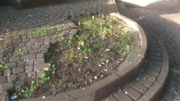 Колись доглянутий парк імені Масарика в Ужгороді занепадає – 03