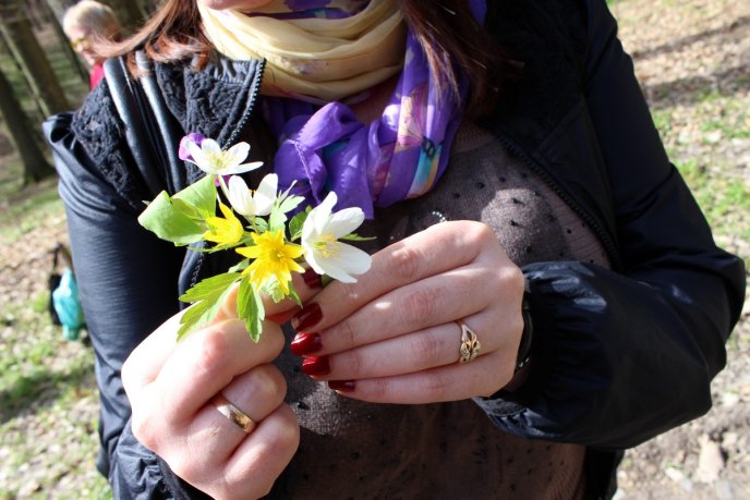 У Шевченківській алеї, що на Ужгородщині, відомі закарпатці висадили нові дерева – 02