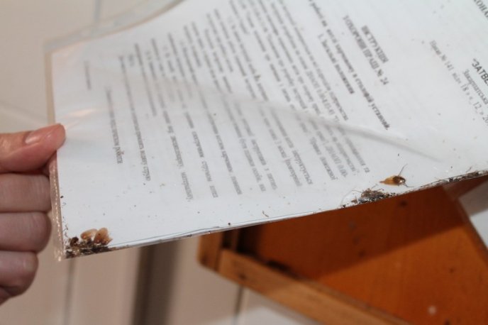 Таргани та оголені дроти: представників прокуратури шокували жахливі умови утримання в’язнів у Закарпатській УВП №9 – 08