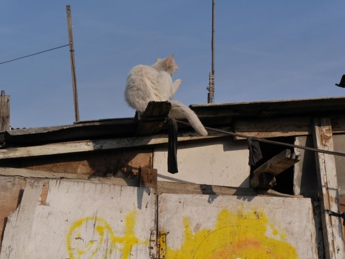 Представники ужгородської влади завітали у ромське поселення міста – 09