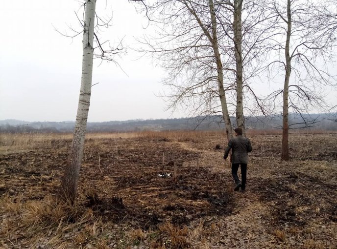 На Закарпатті згоріла Долина нарцисів – 08