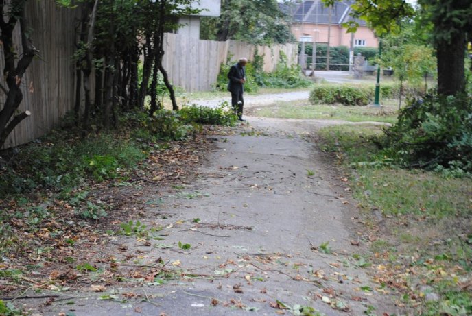 Мукачівці перетворили Комсомольський парк на сміттєзвалище (ФОТОРЕПОРТАЖ) – 09