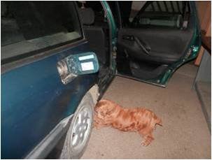 Стрілянина на кордоні: контрабандист намагався втекти від прикордонників – 02