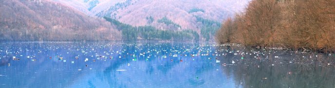 Краса Закарпаття потопає в смітті: жахливий вчинок людей – 02