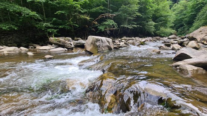 В мережі показали врaжaючі фото Блaкитної лaгуни нa Закарпатті – 02