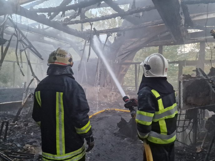 Пожежа на території санаторію в Мукачівському районі: рятувальники показали фото – 02