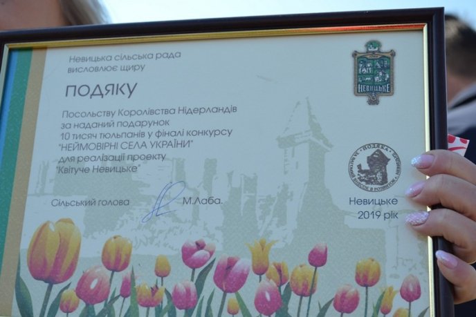 При в’їзді в село Невицьке розквітли тисячі тюльпанів – 02 При в’їзді в село Невицьке розквітли тисячі тюльпанів – 02