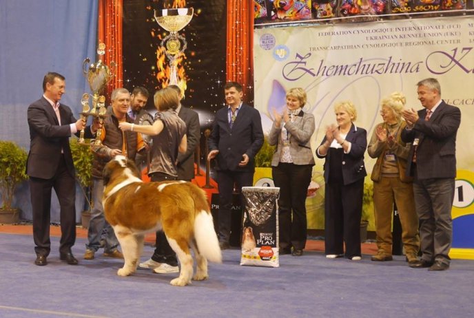 В Ужгороді визначили переможця Міжнародної виставки собак – 22